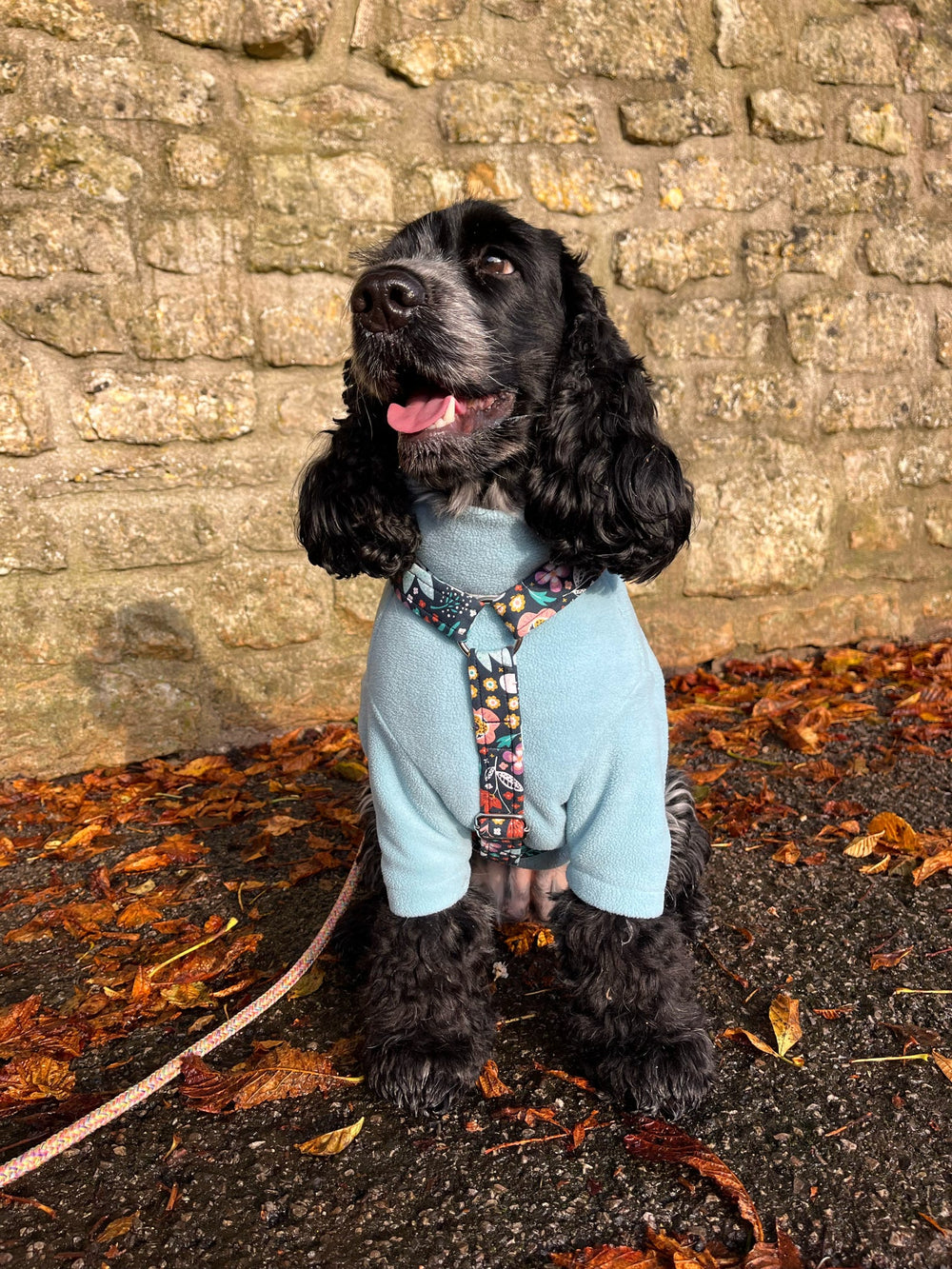 Adjustable Harness - Twilight Bloom