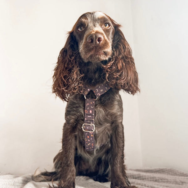 Adjustable Harness - Confetti