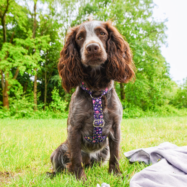 Adjustable Harness - Meadow Blossom