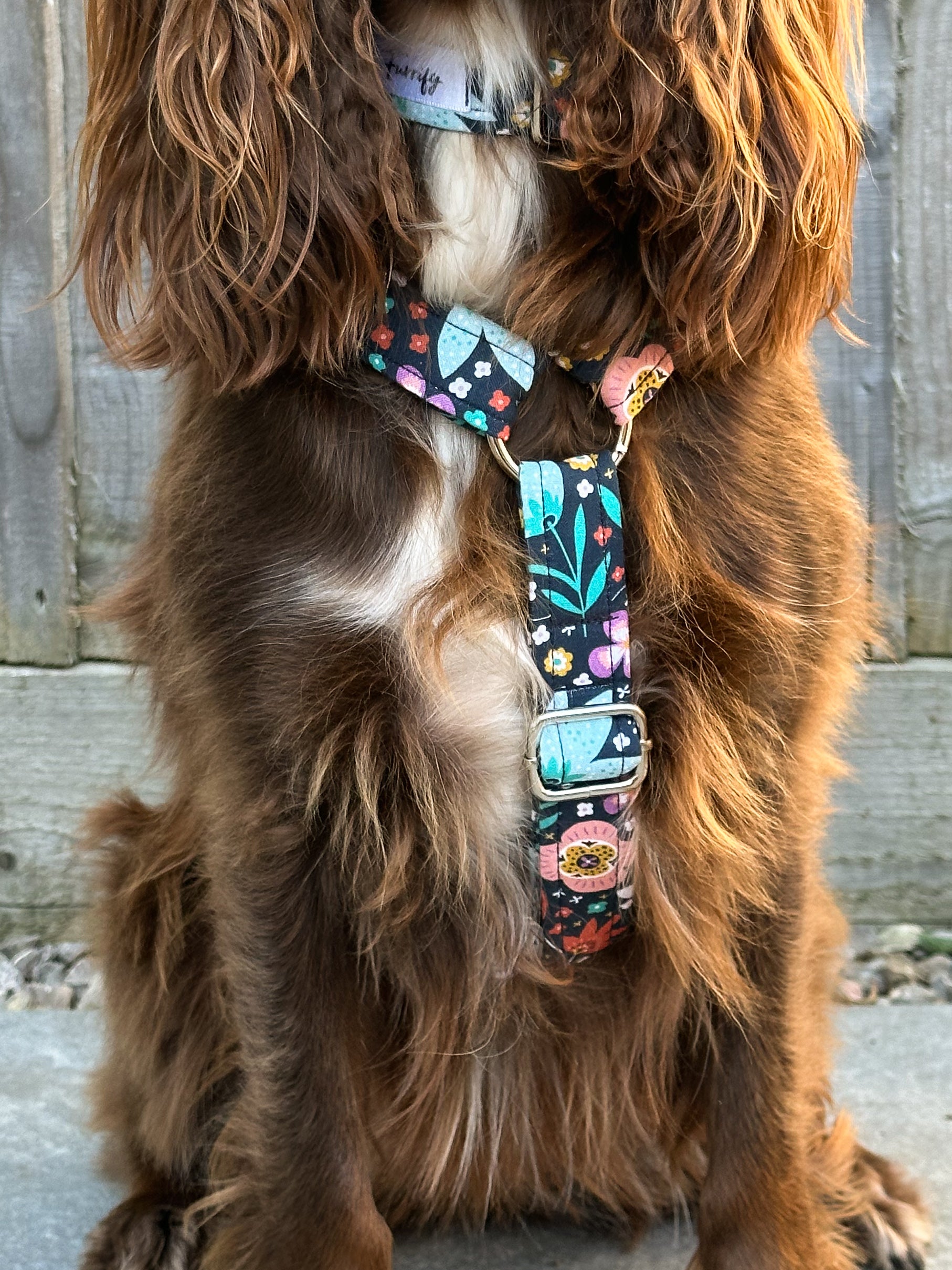 Adjustable Harness - Twilight Bloom