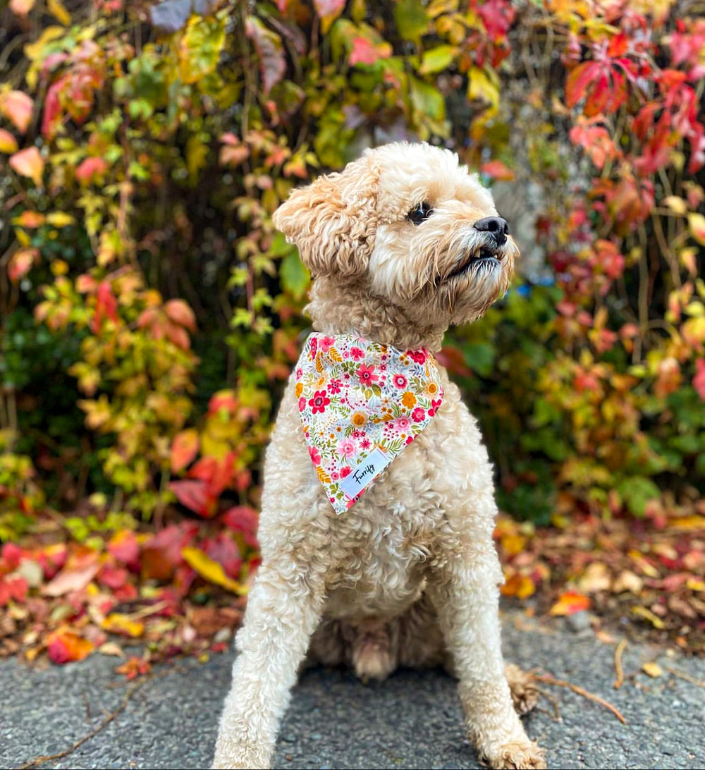 Bandana - Pretty Posy