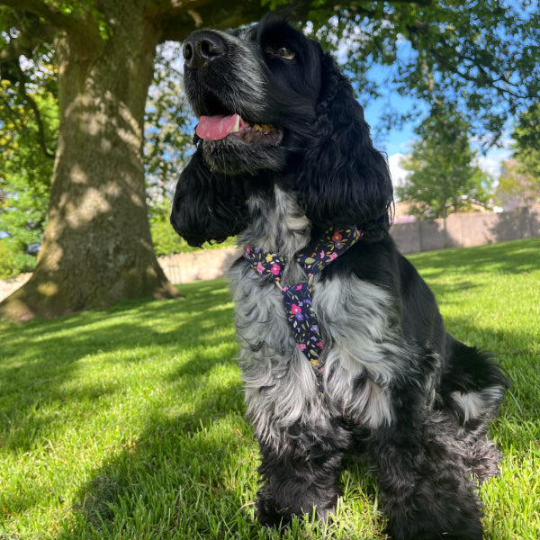 Adjustable Harness - Meadow Blossom