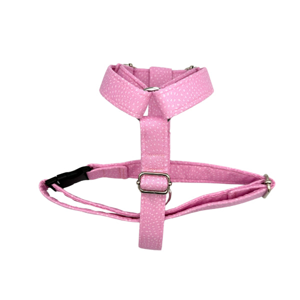 Powder Pink - Bundle
